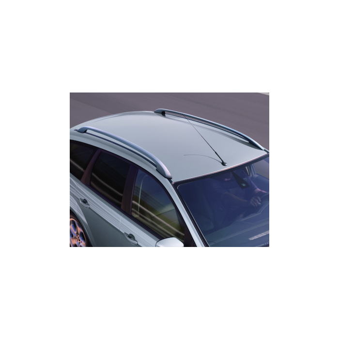 Ford Focus (01/2008 - 12/2010) wagon dakrails zilver