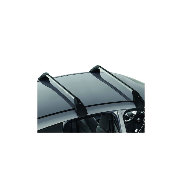 Ford C-MAX (11/2010 - 09/2018) dakdragers