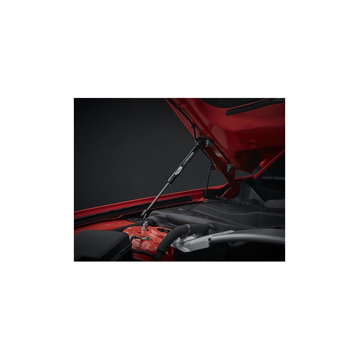 Ford Mustang (03/2015 - 03/2023) motorkap gasveren met laser gegrafeerd Ford Performance logo