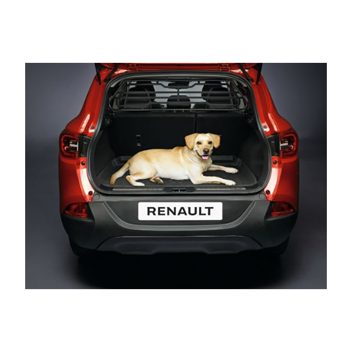 Renault Kadjar scheidingsrek