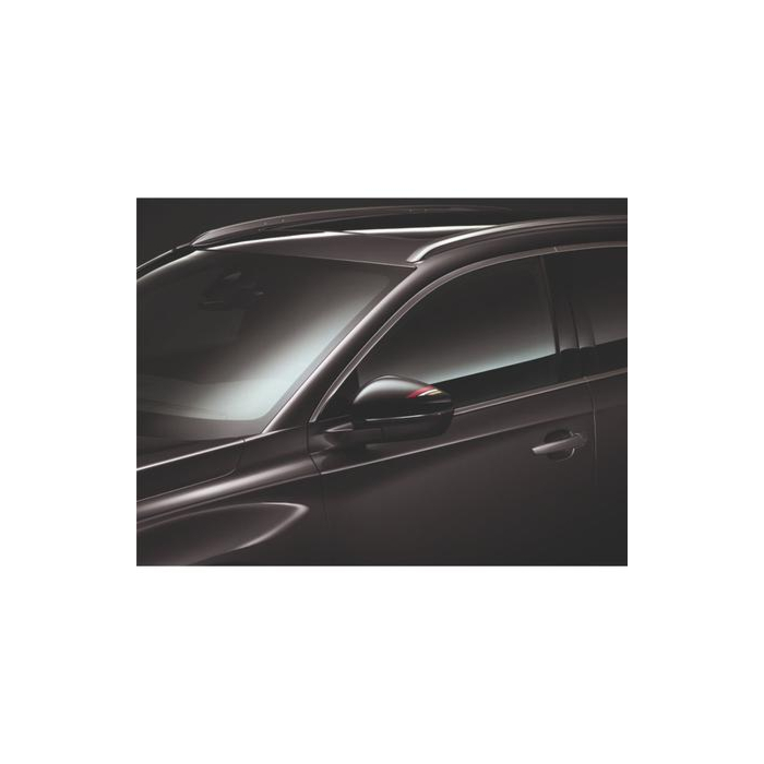 DS3 Crossback / DS7 Crossback DS PERFORMANCE sticker for left-hand external rear-view mirror shell