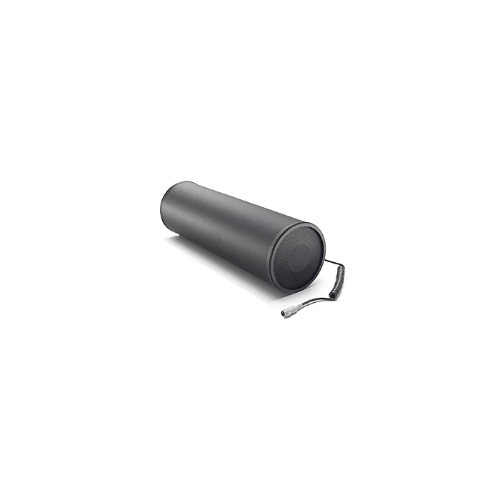 Citroën subwoofer