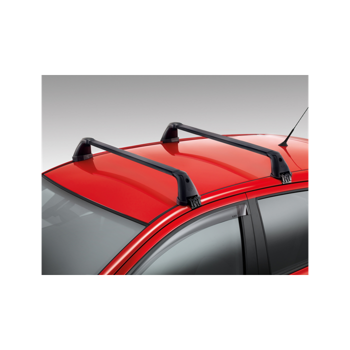 Hyundai i10 (2010 - 2014) dakdragers staal