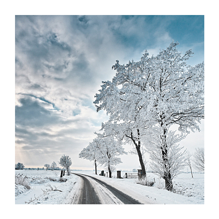 Volkswagen Passat GTE Winter pack