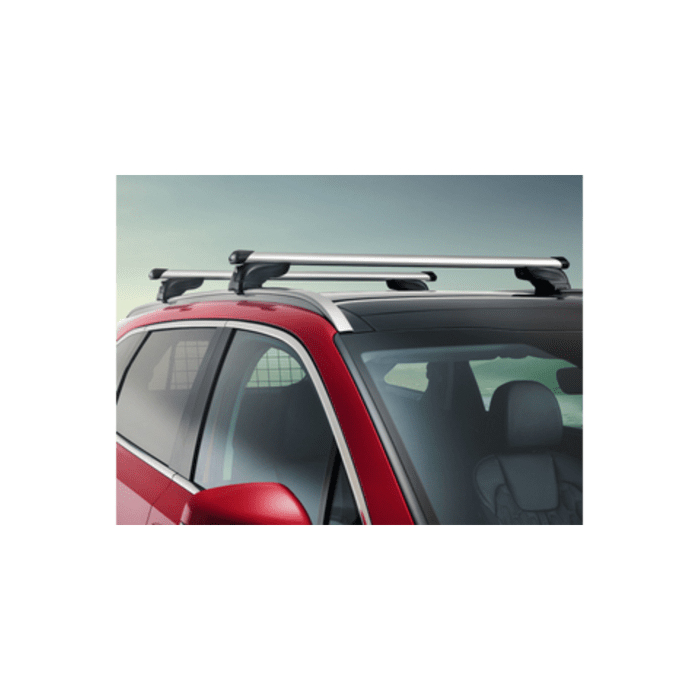 Kia Sorento (2020 - ..) dakdragers aluminium