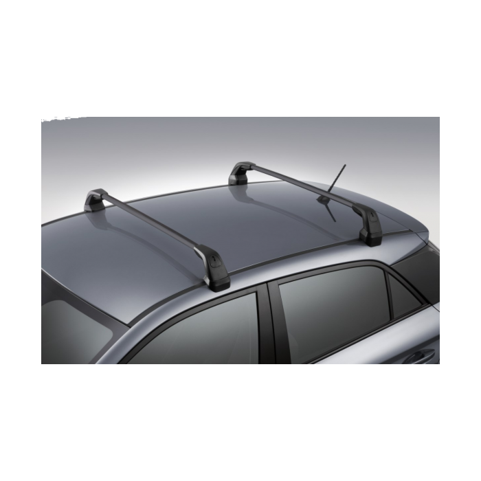 Hyundai i20 Coupe dakdragers staal