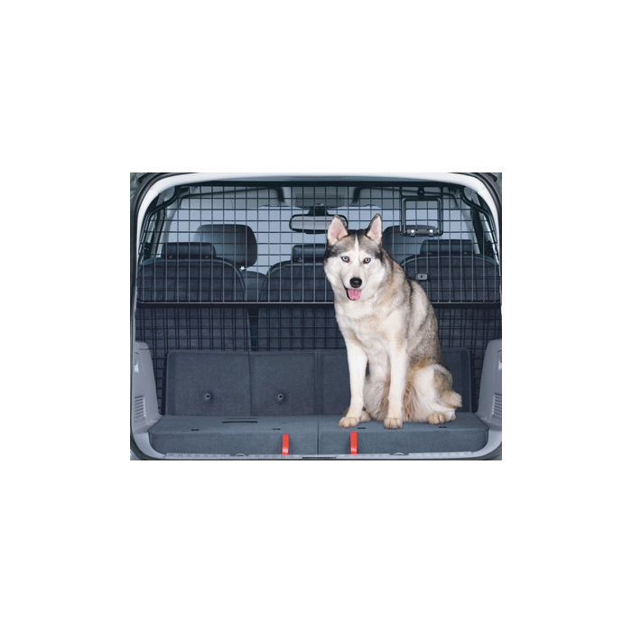 Ford S-MAX (2006 - 05/2015) bagageraster volledige hoogte
