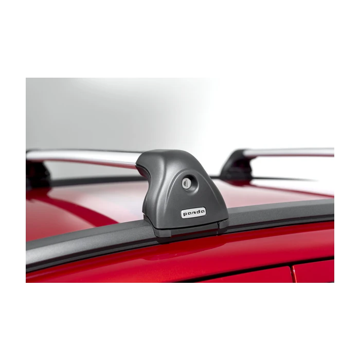 Fiat Panda 2011 - .. dakdragers op dakrails