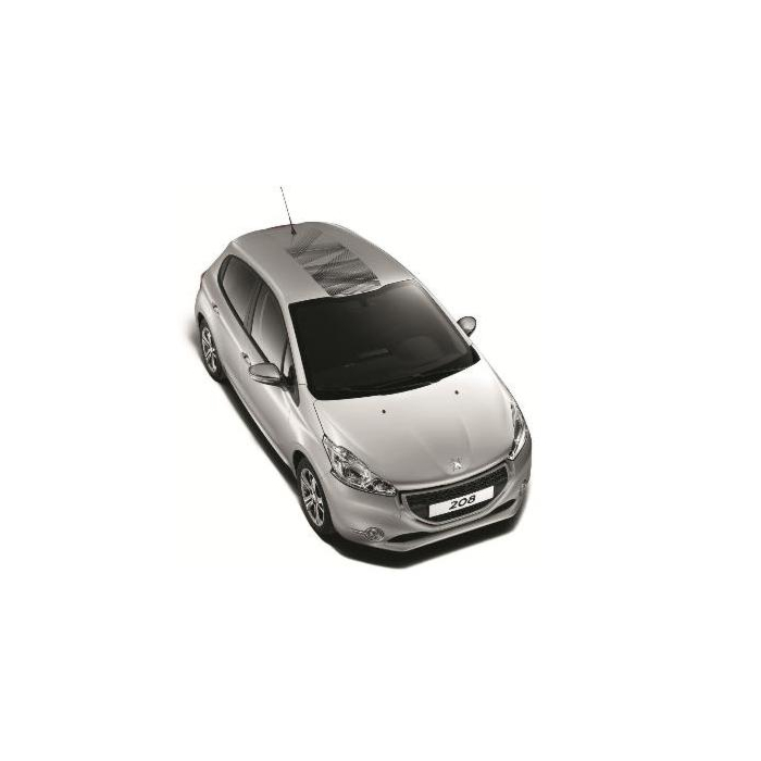 Peugeot 208 (2012 - 2019) sticker voor op het dak LIGNE GRAFFIC