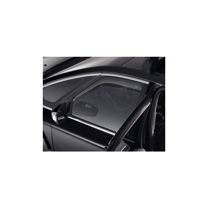 Ford S-MAX (03/2010 - 04/2015) windgeleiders, zijruit voor vensters voordeuren, lichtgrijs