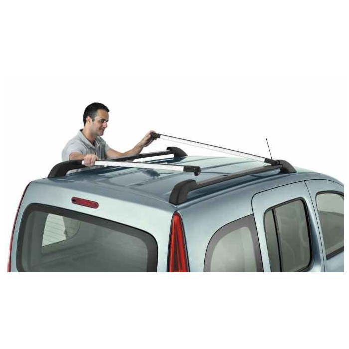 Renault Kangoo 2008 - .. dakdragers innovatief