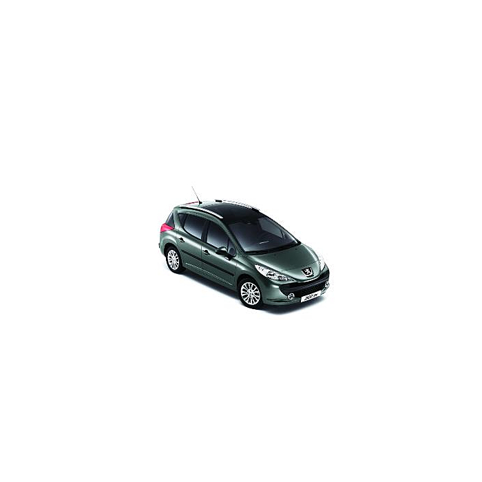 Peugeot 207 SW dakrelingen zonder panoramadak