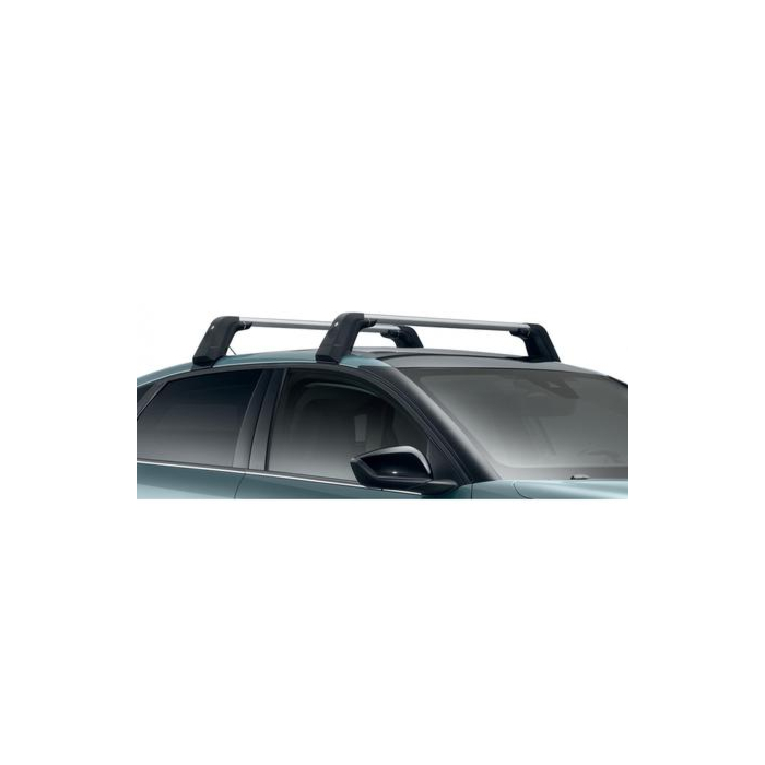 Citroen C4 (2020 - ..) dakdragers