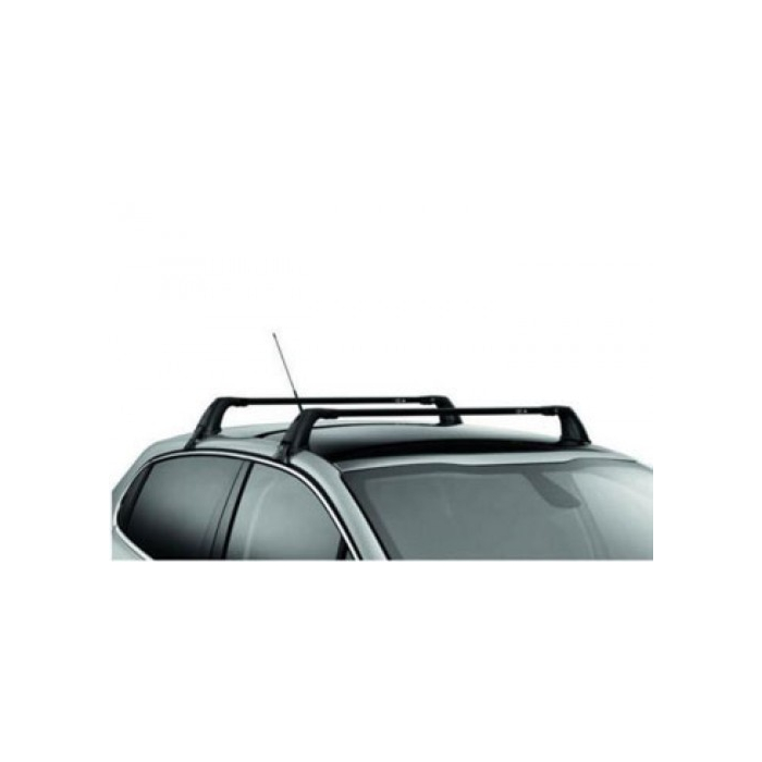 Dacia Logan 2008 - 2013 dakdragers staal dwars