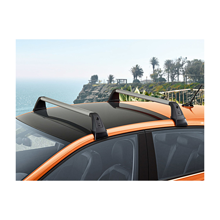 Volkswagen Polo (2018 - ..) dakdragers (4-drs)