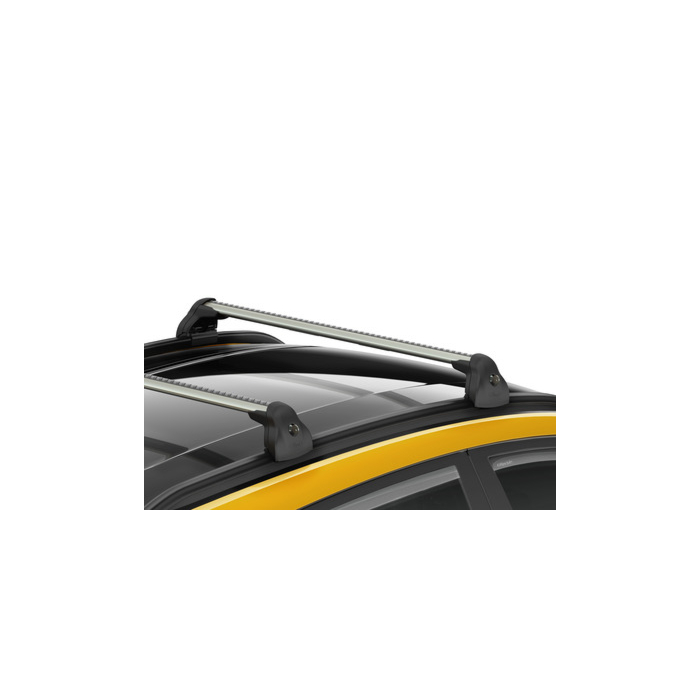 Ford Fiesta (07/2017 - 2023) dakdragers (voor Active modellen met een dakrails)