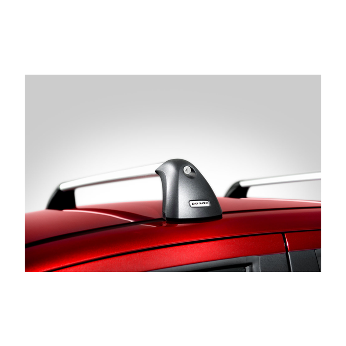 Fiat Panda 2011 - .. dakdragers