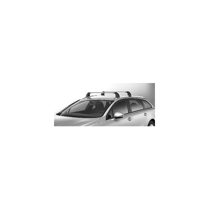 Peugeot 508 (2010 - 2018) SW dakdragers