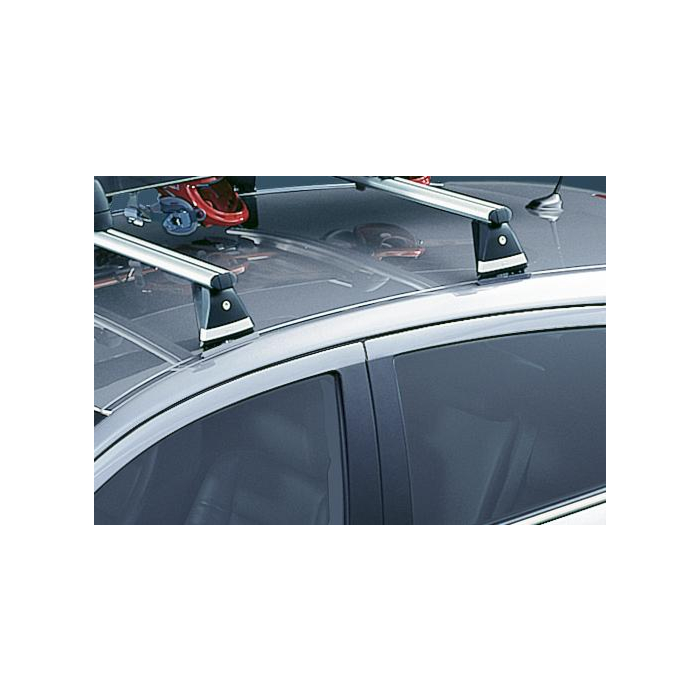 Opel Zafira B dakdragers aluminium