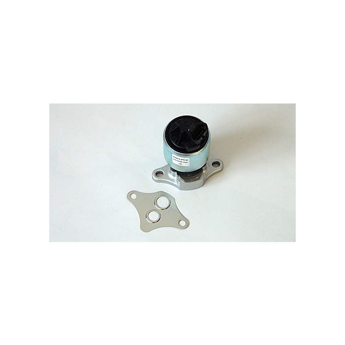 Opel EGR-klep (X14XE / C16SEL / X16XEL)
