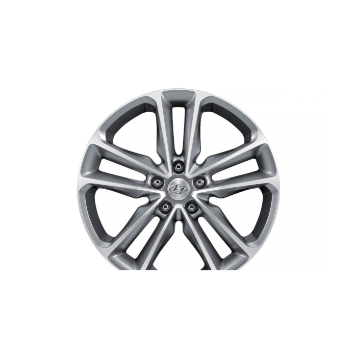 Hyundai Grand Santa Fe (2013 - 2019) winterset 19" aluminium met TPMS