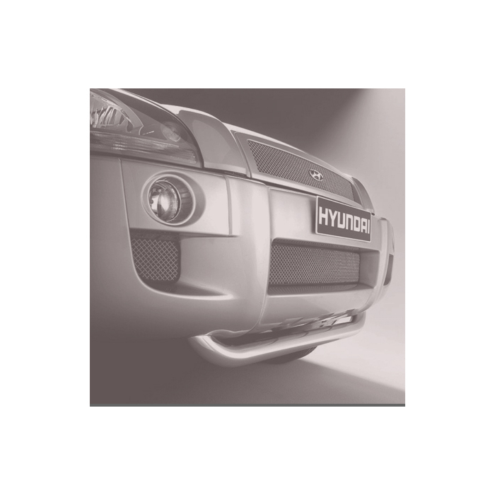 Hyundai Tucson (2004 - 2010) grille in bumper