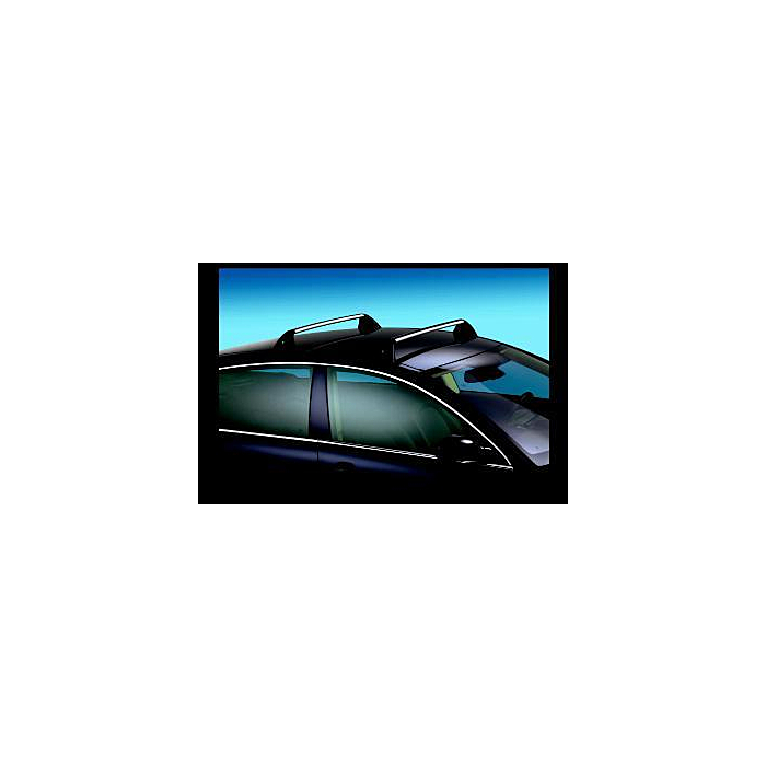 Citroën Xsara Picasso dakdragers staal