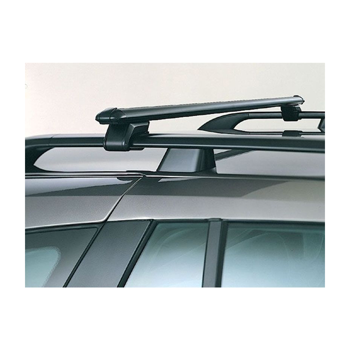 Renault Laguna Estate (2001 - 2007) dakdragers