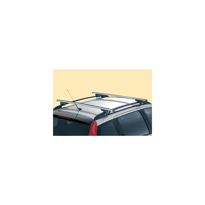 Peugeot 206 SW roof base carrier
