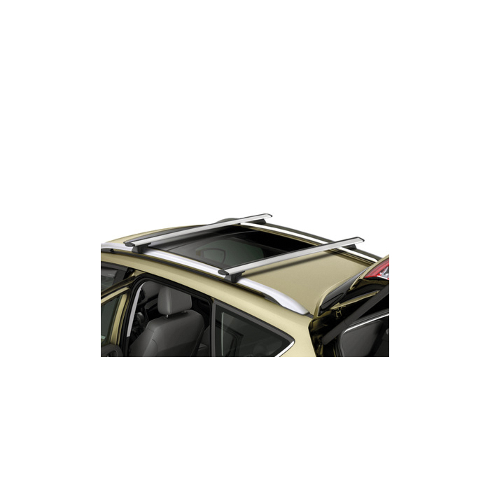 Ford Kuga (11/2012 - 11/2019) dakdragers