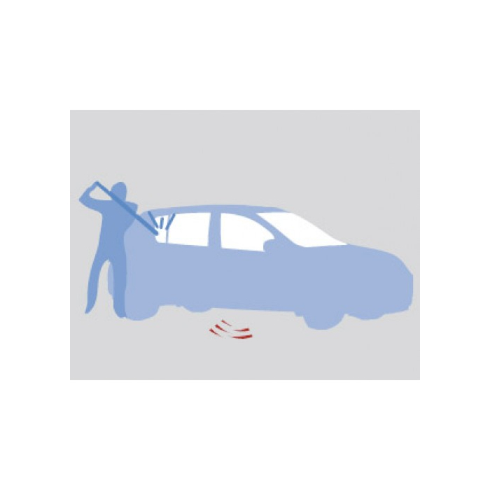 Dacia Sandero 2008 - 2012 alarm met afstandsbediening