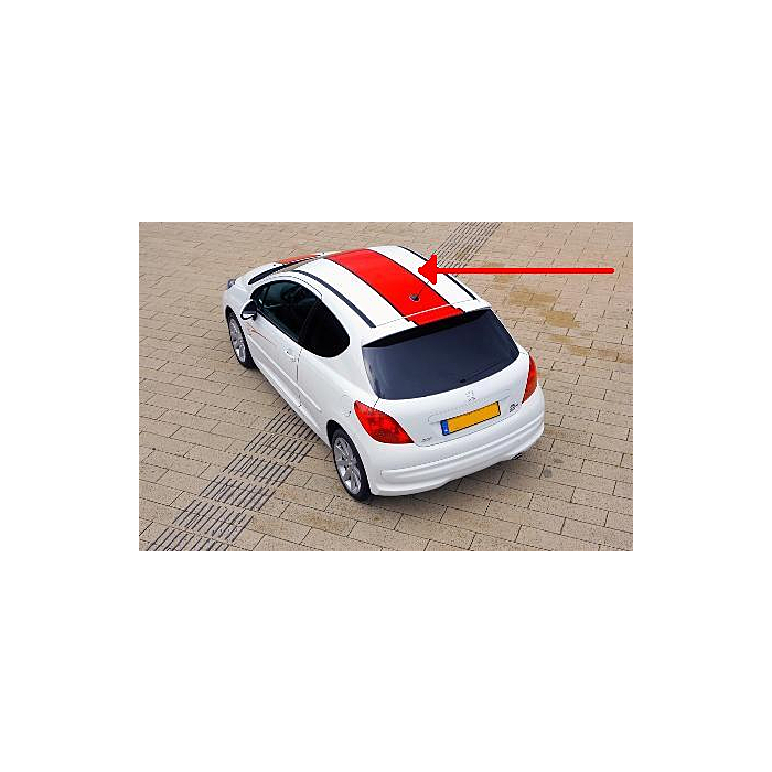 Peugeot 207 Le Mans striping dak