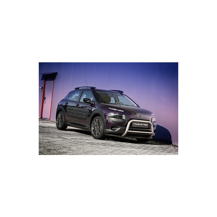 Musketier Citroën C4 Cactus rvs voordeel pakket titanium-look