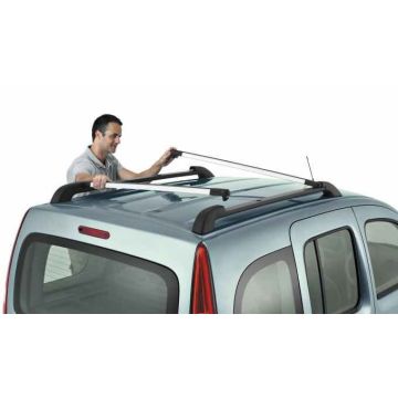 Renault Kangoo 2008 - .. dakdragers innovatief