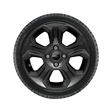 Ford EcoSport (10/2017 - ..) lichtmetalen velg met winterband 16", 5-spaaksdesign, zwart