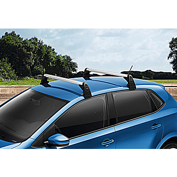 Volkswagen Cross Polo 2010 - .. dakdragers