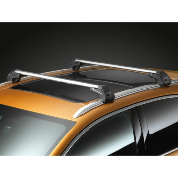 Citroen Set Allesdrager