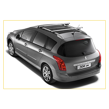 Peugeot 307 SW / 308 SW dakdragers