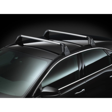 DS7 dakdragers (voor modellen zonder dakrails)