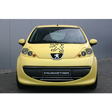 Musketier Peugeot 107 sierlijsten grille chroom