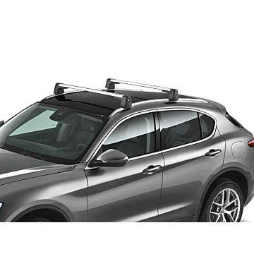 Alfa Romeo Stelvio dakdragers