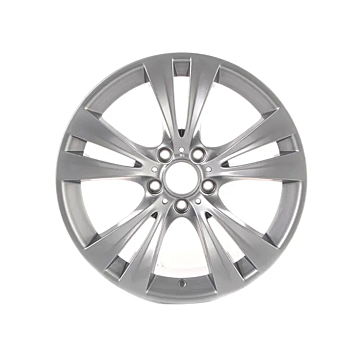BMW velg 19" dubbel spaaks Style 309