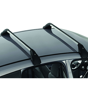 Ford C-MAX (11/2010 - 09/2018) dakdragers