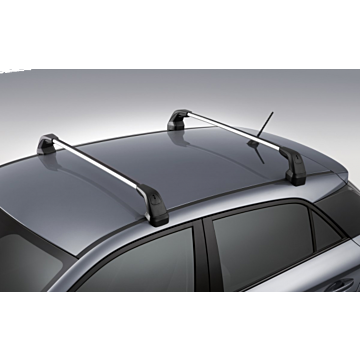Hyundai i20 Coupe dakdragers aluminium