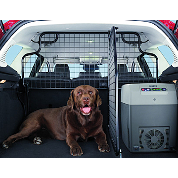 Ford Focus (01/2011 - 03/2018) wagon bagageraster halfhoog