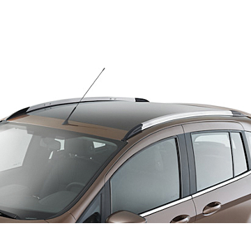 Ford B-MAX (2012 - 2018) dakrails zilver/zwart