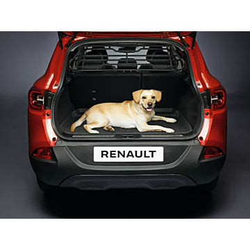Renault Kadjar scheidingsrek