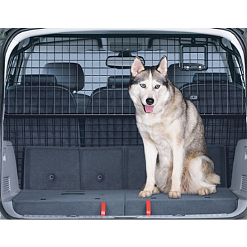 Ford S-MAX (2006 - 05/2015) bagageraster volledige hoogte