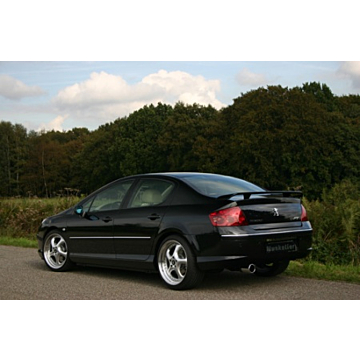 Musketier Peugeot 407 einddemper rvs 1xØ101 mm