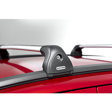 Fiat Panda 2011 - .. dakdragers op dakrails